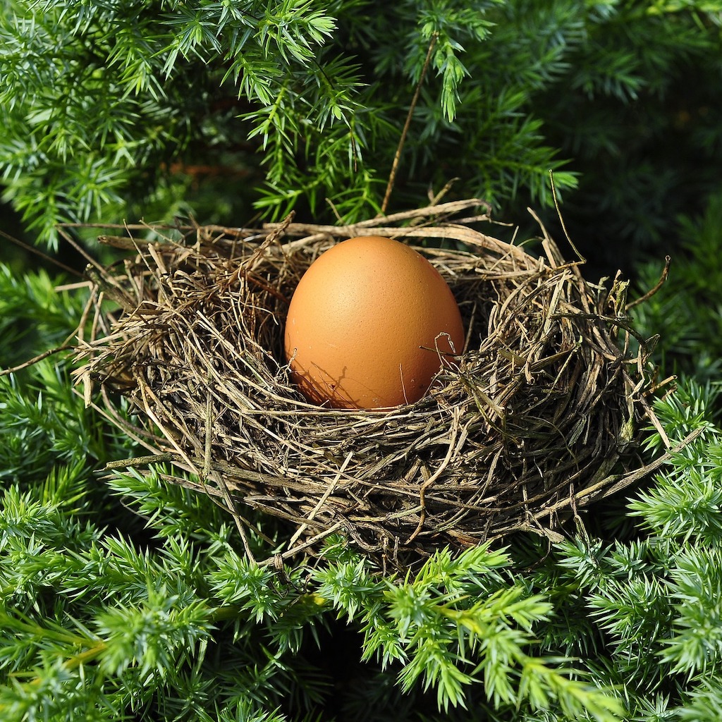 egg_tree.jpeg