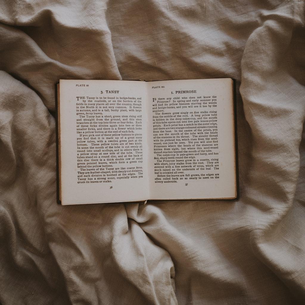 open_book.jpeg
