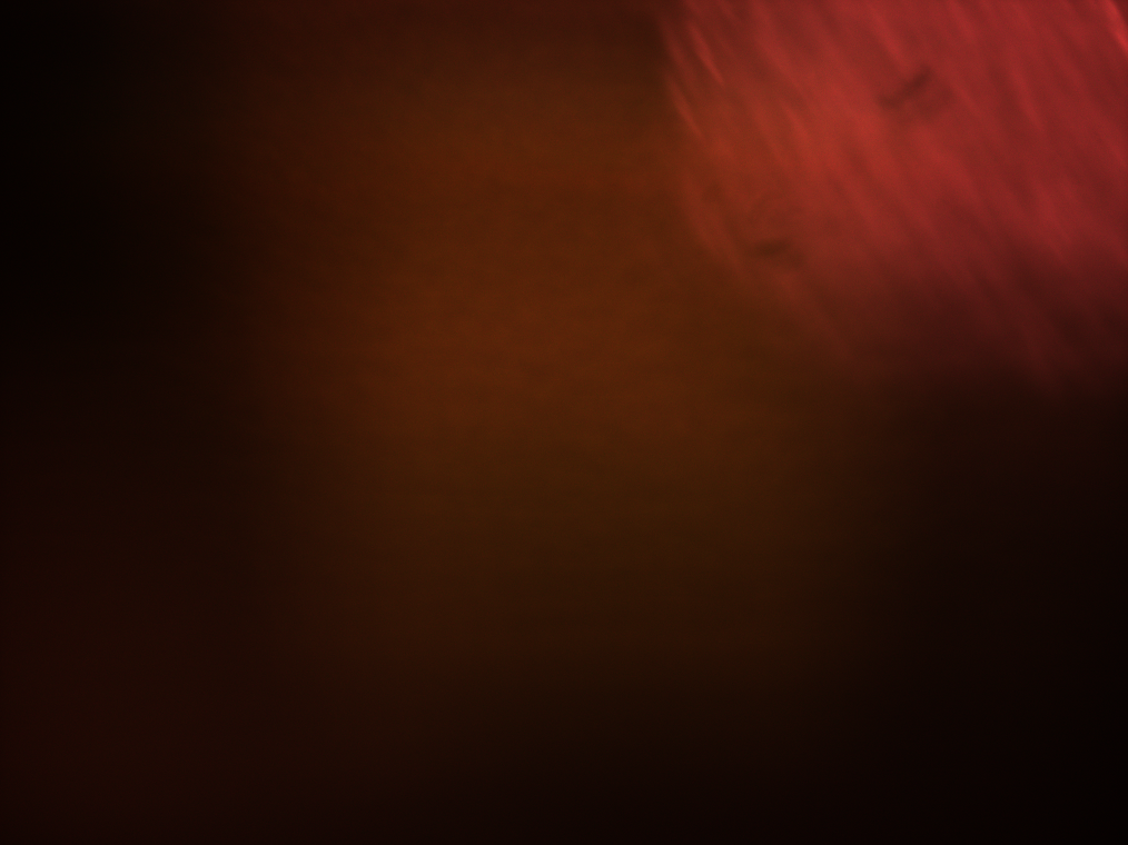 plant_raw.png