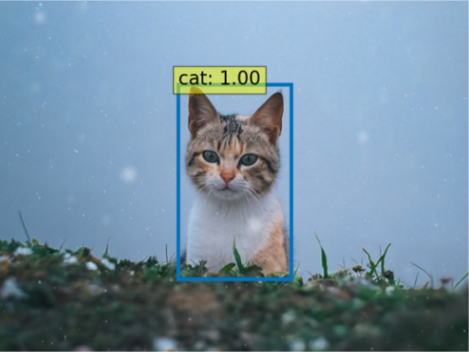 zero-shot-object-detection-output.jpg