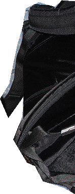 000000527925_segmented_2.png