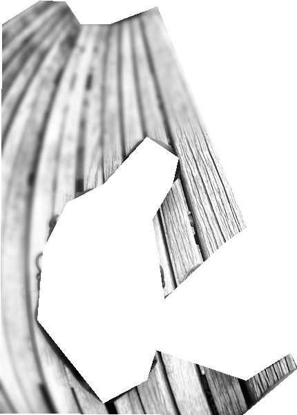 000000081056_segmented_0.png