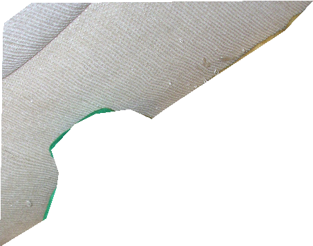 000000219418_segmented_1.png