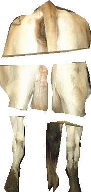 000000226899_segmented_0.png