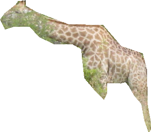 000000502178_segmented_1.png