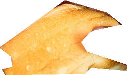 000000335532_segmented_1.png
