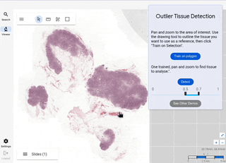 classifier.gif