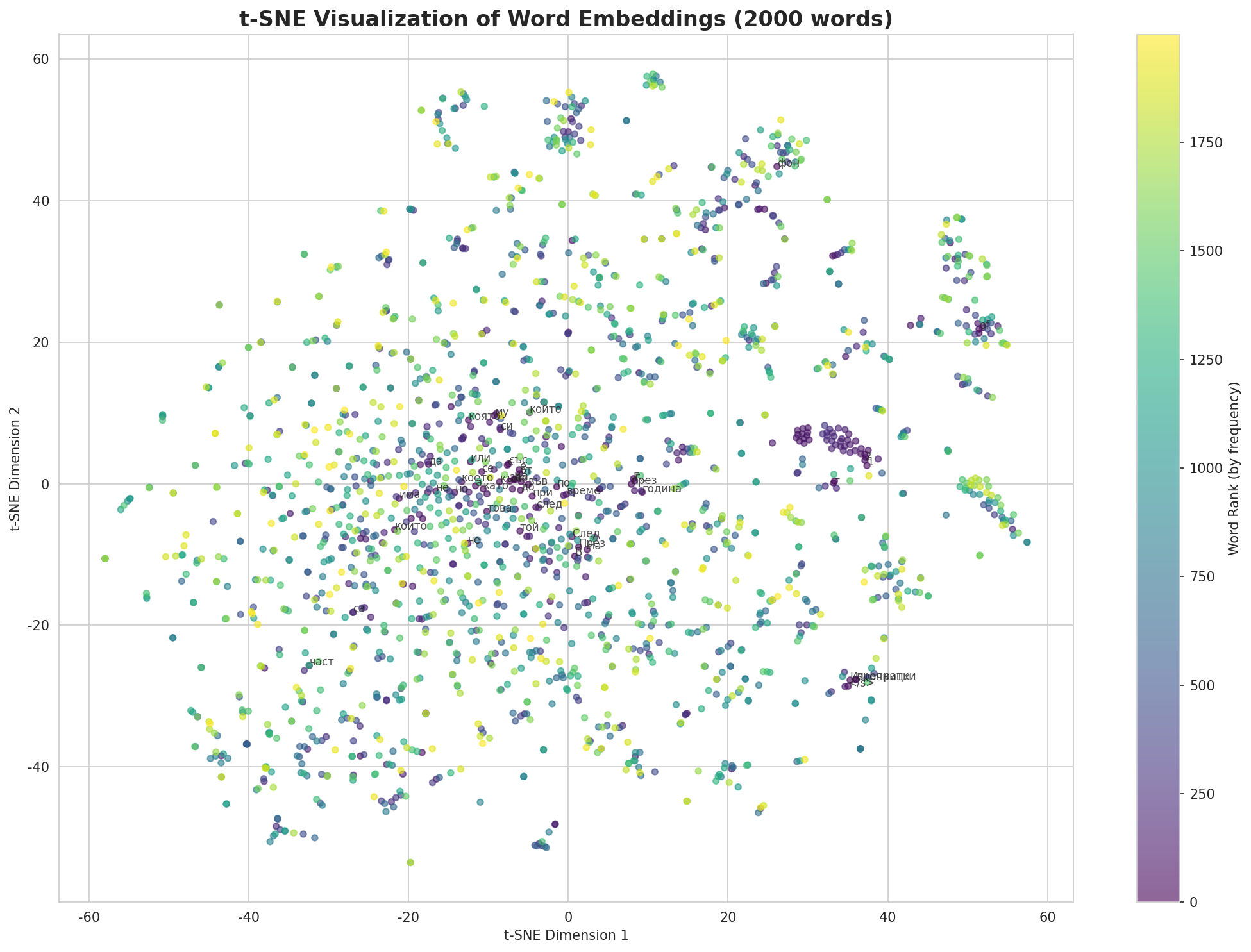 t-SNE Words
